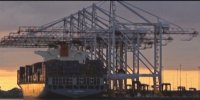 TPS adquirió modernas grúas Liebherr de 62 metros de alcance para atender buques post panamax.