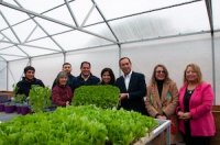 Puerto Ventanas implementó proyecto para el cultivo hidropónico en Puchuncaví