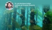 Simposio internacional ISSESR7 se realizará en Chile, es organizado por IFOP
