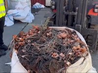 Cobre robado: Aduana ha incautado casi 153 toneladas en puertos del Biobío