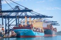 Puerto San Antonio inicia programa de formación internacional junto a Fundación Valenciaport e Indra Group