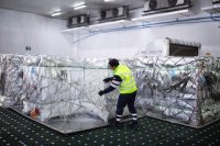 Aerosan ya está preparada para temporada de la fruta con foco en procesos logísticos y cadena de frío