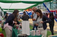 DP World San Antonio realiza 3º feria de beneficios con gran asistencia de familias y emprendedores