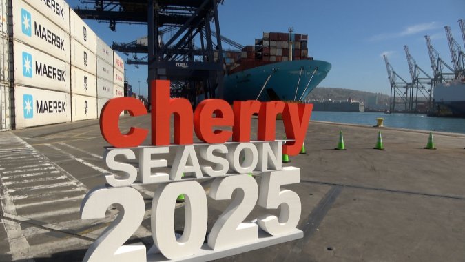 Chile primer exportador mundial de cerezas, afina su estrategia en la calidad y no sólo en la cantidad.