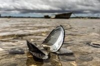 Resultados del Quinto Concurso de Fotografía “Chile Marítimo en Imágenes” 2025 Resultados del Quinto Concurso de Fotografía “Chile Marítimo en Imágenes” 2025