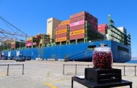 Frutas de Chile proyecta liderazgo de Puerto Valparaíso en exportación de fruta durante la temporada 2025-2026