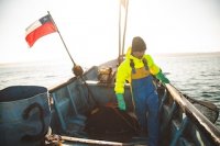 INDESPA cerró último año con inversión de $14.000 millones para la pesca artesanal y acuicultura de pequeña escala