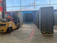 STI refuerza su infraestructura para inspección SAG de productos vegetales de importación