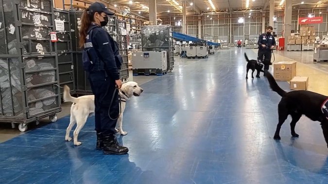 Aduanas y Armada potencian binomios caninos para combatir el crimen organizado.